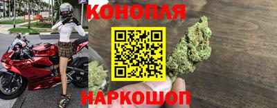 амф Новокубанск