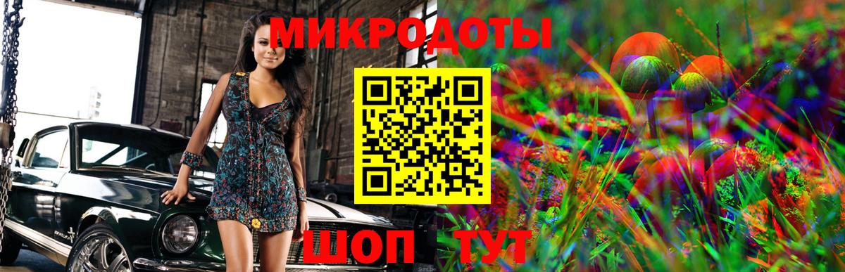 Галлюциногенные грибы Psilocybine cubensis Ханты-Мансийск