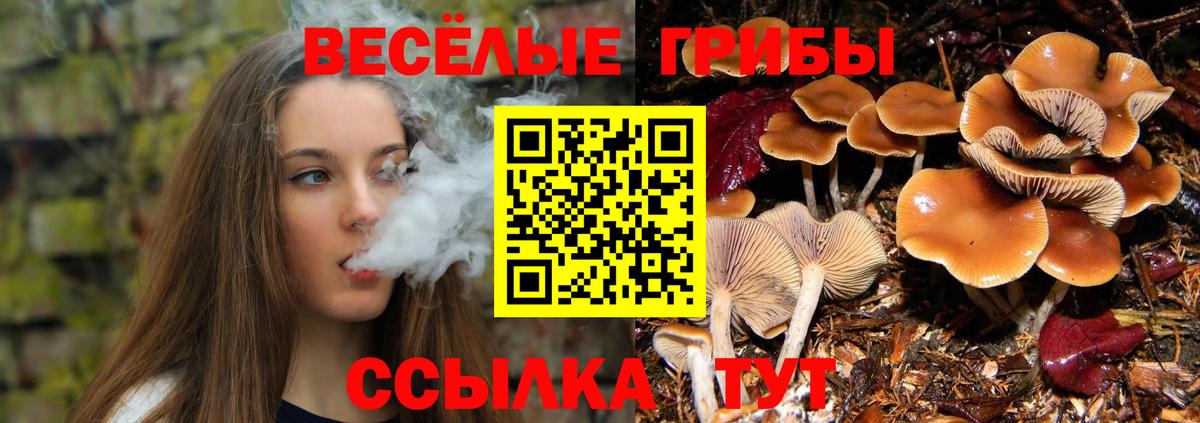 Псилоцибиновые грибы мицелий  Галлюциногенные грибы ЛСД  Вход с VPN  Ханты-Мансийск 
